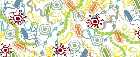 Microbes: They’re just like us, but&nbsp;smaller!